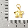 Brass Charms KK-Z107-05G-02-3