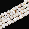Natural Freshwater Shell Beads Strands SHEL-N038-04-1