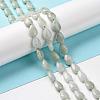 Natural Myanmar Jade/Burmese Jade Beads Strands G-C238-10-2