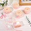 5 Rolls Flat Rainbow Color Organza Ribbon OCOR-CY0003-29B-4