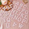 Cloth Hotfix Rhinestone Iron on/Sew on Patches DIY-WH0321-80-5