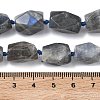 Natural Labradorite Beads Strands G-C270-F01-5