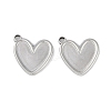 Non-Tarnish 304 Stainless Steel Pendants STAS-C106-03P-1