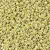 TOHO 11/0 Round Beads SEED-TR11-0559-2