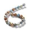 Dyed Natural Regalite/Imperial Jasper/Sea Sediment Jasper Beads Strands G-B124-C01-03-3