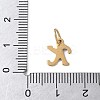 304 Stainless Steel Enamel Charms STAS-G353-01G-K-3