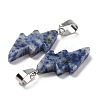 Natural Blue Spot Jasper Pendants G-C057-01P-03-3