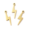 Ion Plating(IP) 316L Surgical Stainless Steel Pendants STAS-H213-01G-3
