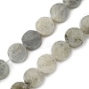 Natural Labradorite Beads Strands G-M454-B07-2