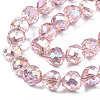 Transparent Glass Beads Strands EGLA-T008-14B-01-3