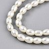 Baking Paint Pearlized Glass Pearl Bead Strands HY-T002-01C-02-2