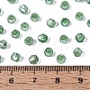 Silver Lined Glass Seed Beads SEED-T007-18A-06-4