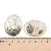 Natural Black Lip Shell Cabochons SSHEL-I026-04B-06-3
