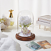 Glass Dome Cover DIY-WH0110-22-4