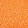 Opaque Baking Paint Glass Seed Beads SEED-T008-02F-3