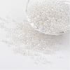 Round Glass Seed Beads X-SEED-A006-3mm-101-1