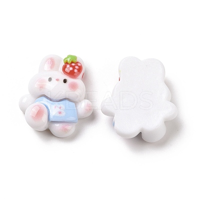 Opaque Resin Cabochons RESI-I037-06B-1