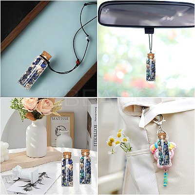 Transparent Glass Wishing Bottle Decoration PALLOY-CA00034-1