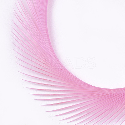 Goose Feather Costume Accessories FIND-T037-09I-1