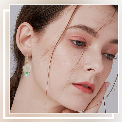 20 Pairs 2 Colors Rack Plating Brass Earring Hooks KK-SC0006-58-1