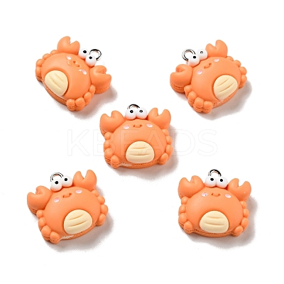 Opaque Resin Pendants RESI-G043-E04-B-1