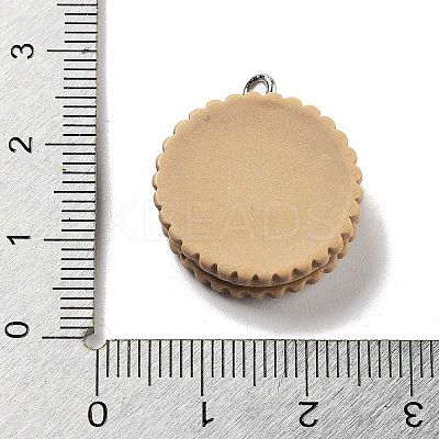 Cookies Theme Imitation Food Resin Pendants RESI-B021-02B-03-1