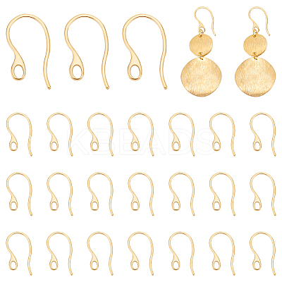 Ion Plating(IP) 304 Stainless Steel Earring Hooks STAS-UN0058-41G-1