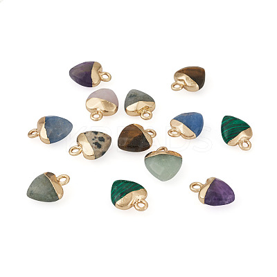 16Pcs 8 Styles Natural & Synthetic Gemstone Charms G-FW0001-34-1