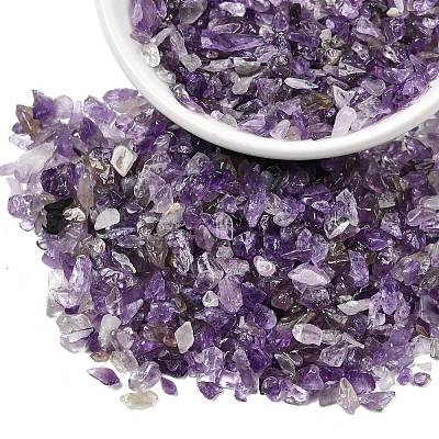 Natural Amethyst Chip Beads X-G-L453-06-1