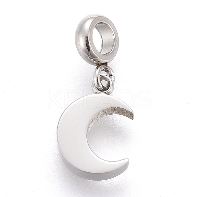 Non-Tarnish 304 Stainless Steel Charms LS-STAS-F259-014P-1