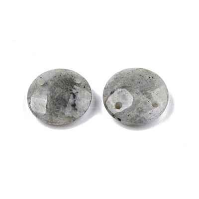 Natural Labradorite Connector Charms G-N326-149A-1