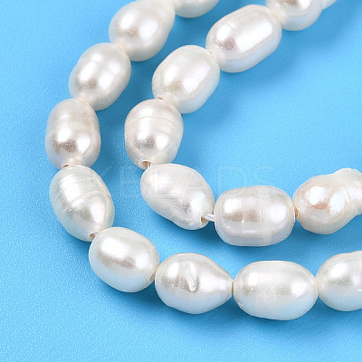 Natural Cultured Freshwater Pearl Beads Strands PEAR-N012-04U-1