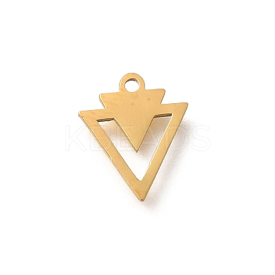 304 Stainless Steel Charms STAS-S144-01G-F-1