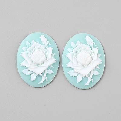 Resin Cabochons CRES-WH0018-02A-1