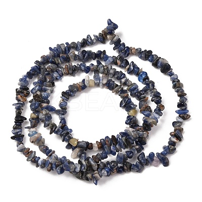 Natural Sodalite Chips Beads Strands F024-1