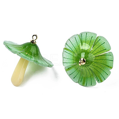 Plastic Pendants KY-N015-118C-02-1