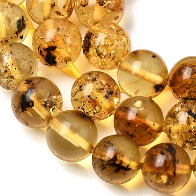 Natural Amber Beads Strands G-K376-H03-01-1