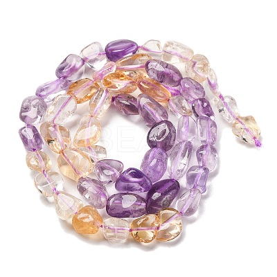 Natural Amethyst & Citrine Beads Strands G-L610-B06-01-1