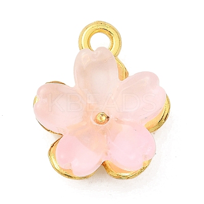 Alloy Glass Charms FIND-C079-05G-01-1