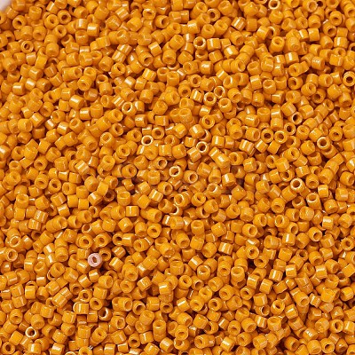 MIYUKI Delica Beads X-SEED-J020-DB2104-1