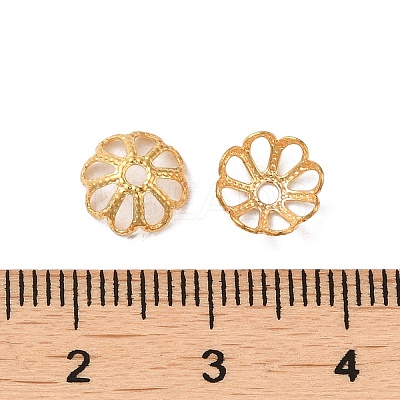 316 Stainless Steel Bead Caps STAS-C080-02B-G-1