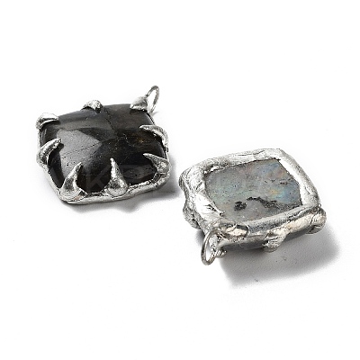 Natural Labradorite Pendants G-G069-02P-1