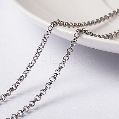 Non-Tarnish 3.28 Feet 304 Stainless Steel Rolo Chains X-CHS-L014-12P-1