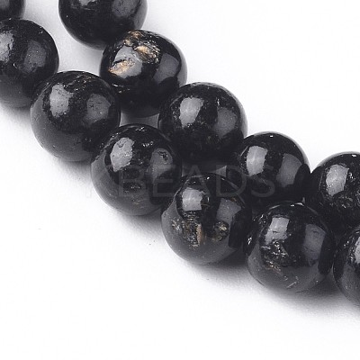 Natural Biotite Beads Strands G-L528-06D-1