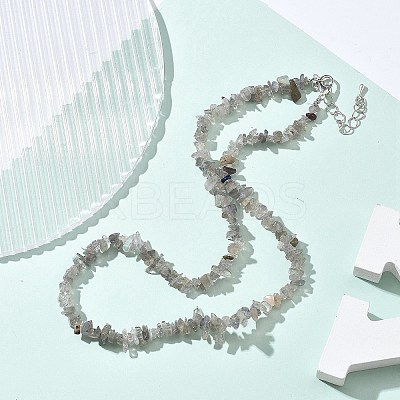 Natural Supper 7 Rutilated Quartz Chip Beaded Necklaces for Men Women NJEW-G159-01W-1