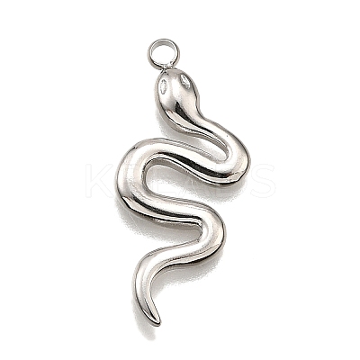 304 Stainless Steel Pendants STAS-M116-25P-1