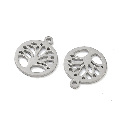 304 Stainless Steel Charms STAS-P433-05P-1