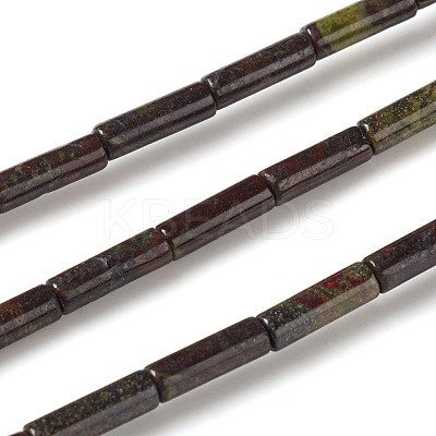 Natural Dragon Blood Jasper Beads Strands G-F247-31-1
