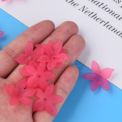 Transparent Acrylic Beads X-MACR-S373-127-D-1