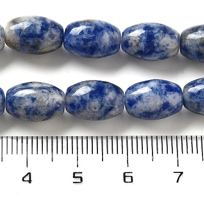 Natural Blue Spot Jasper Beads Strands G-B106-B29-01-1